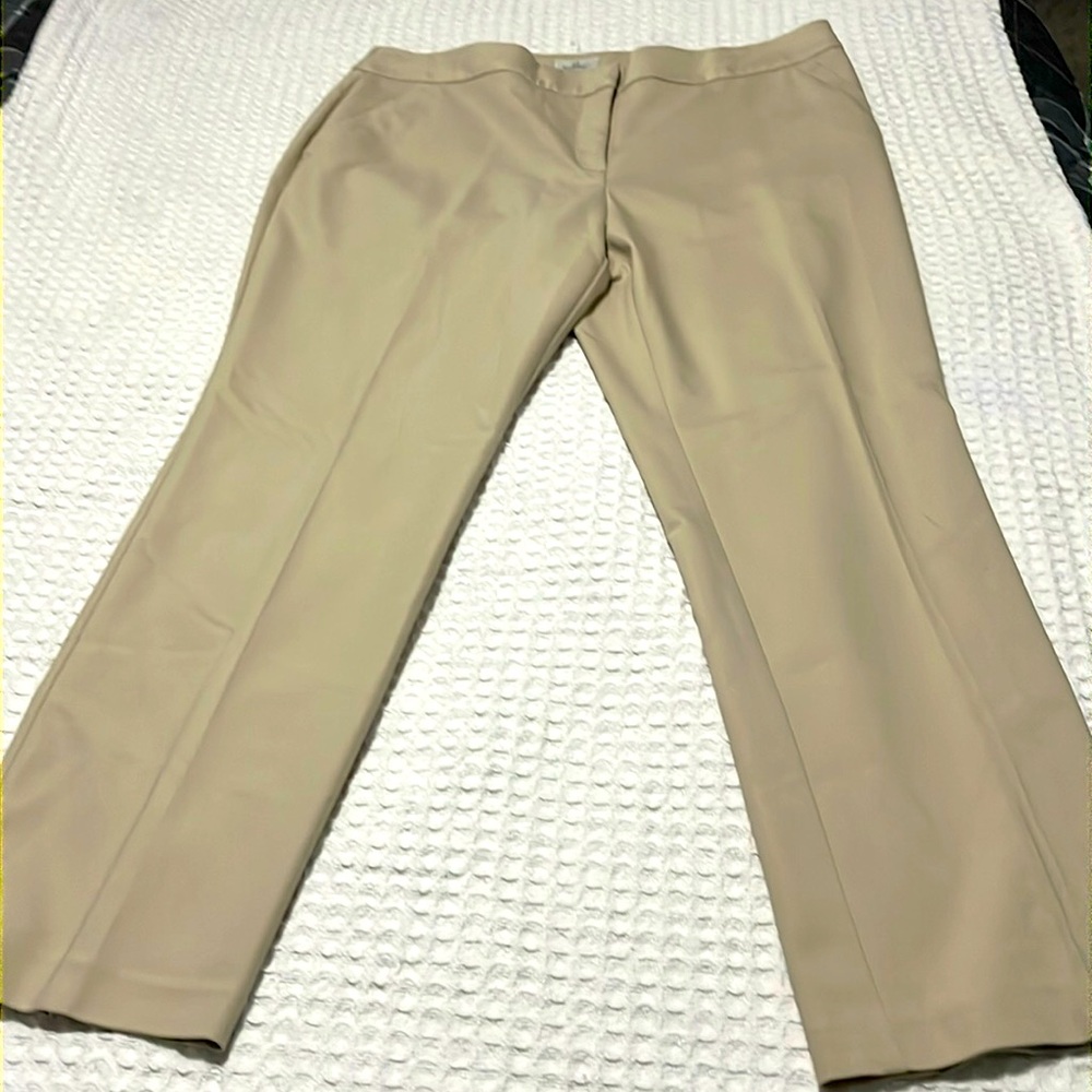 Chico’s Tan Slimming Pants